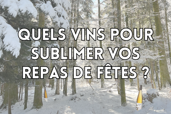 Quels vins pour sublimer vos repas de Fêtes ?